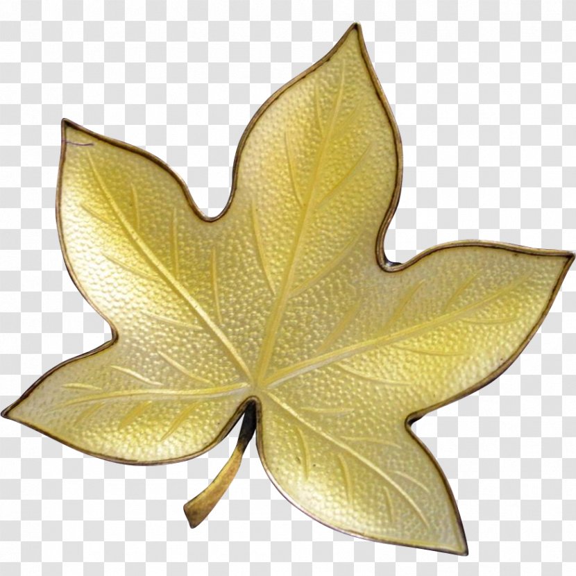 Leaf - Plant Transparent PNG