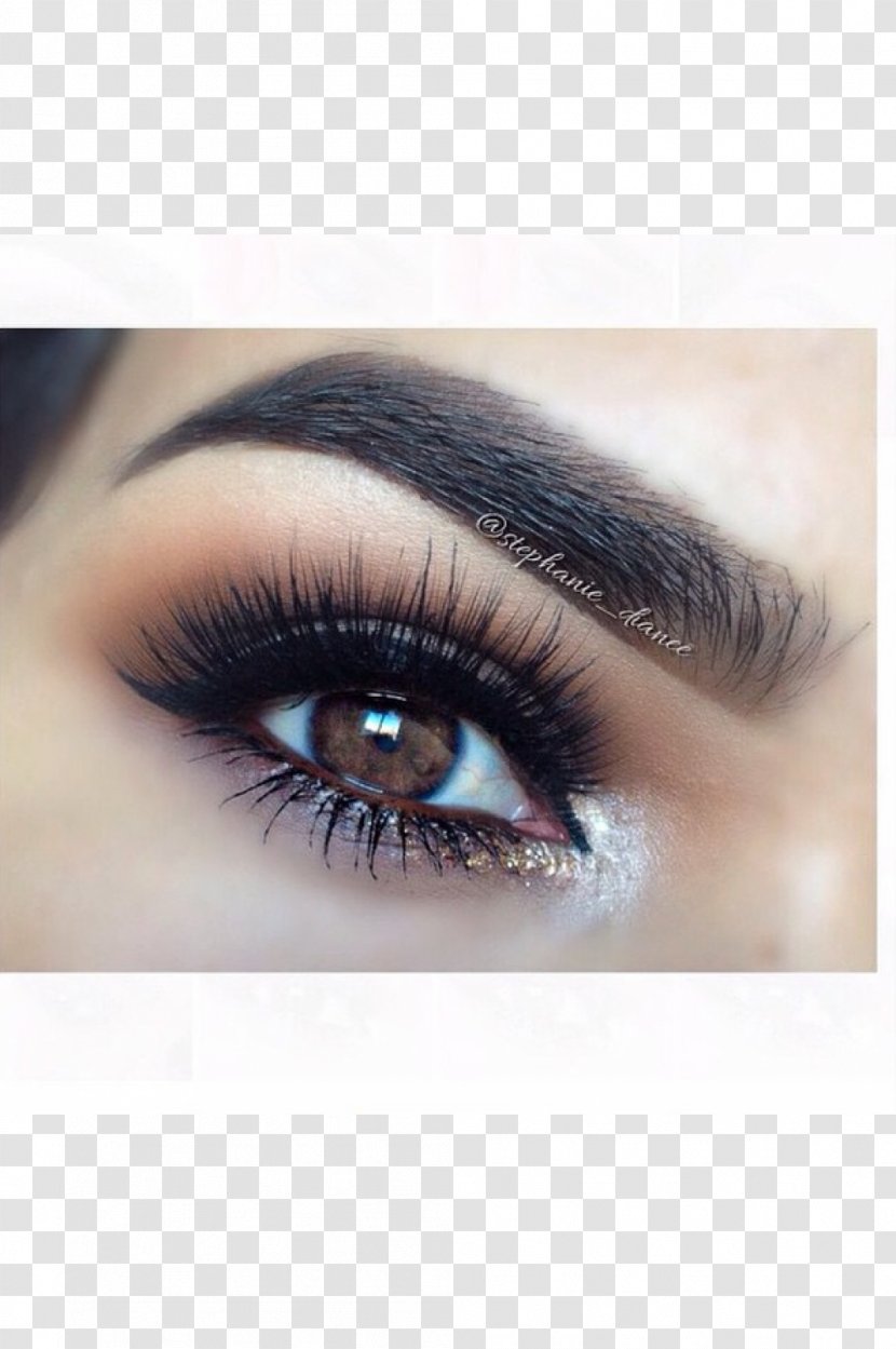 Eyebrow Eyelash Eye Shadow Cosmetics - Beauty - Lashes Transparent PNG