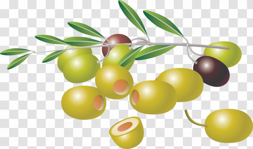 Olive Branch Clip Art Transparent PNG