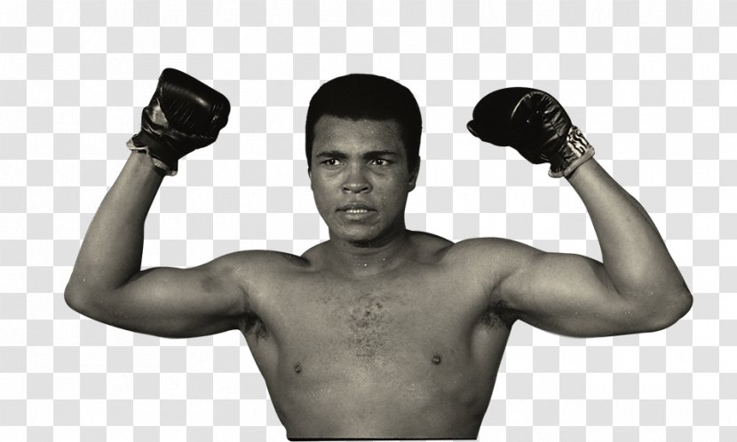 Muhammad Ali 1960 Summer Olympics Boxing Sport Professional Boxer - Standing Transparent PNG