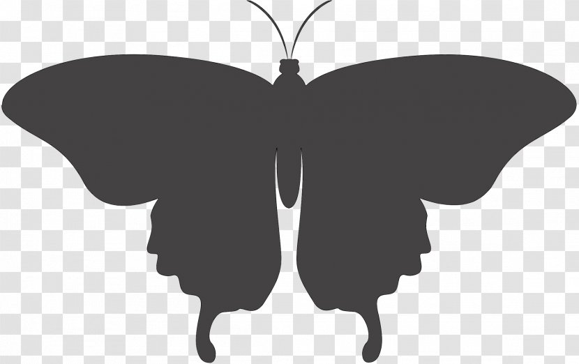 Brush-footed Butterflies Silhouette Lepidoptera Clip Art Drawing - Ornament - Wood Transparent PNG