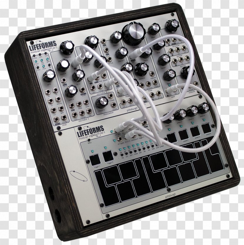 Sound Synthesizers Modular Synthesizer Eurorack Electronic Musical Instruments - Frame Transparent PNG