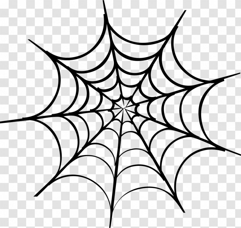 Spider Web Clip Art - White Transparent PNG
