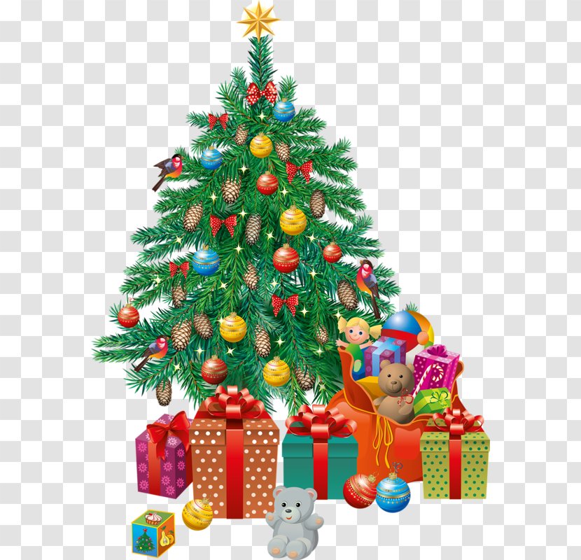 Royal Christmas Message Santa Claus Card Tree - Conifer Transparent PNG