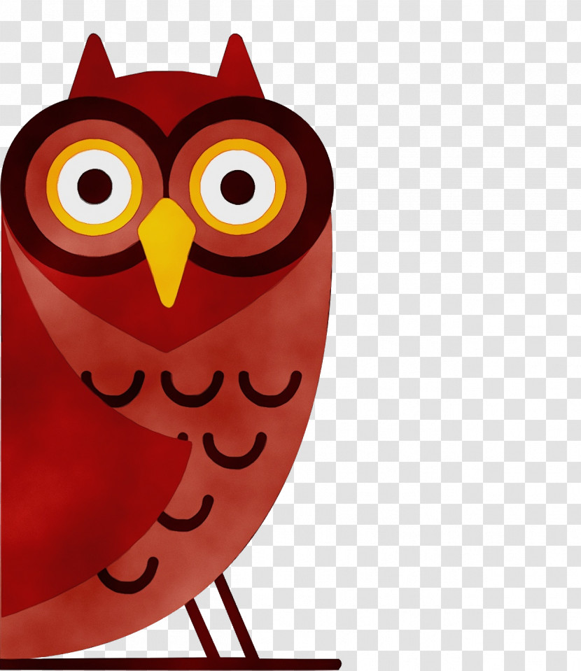 Owls Little Owl Birds Tawny Owl Eastern Screech Owl Transparent PNG