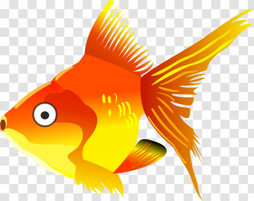 Goldfish Clip Art - Vertebrate Transparent PNG