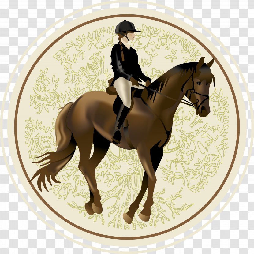 Horse Equestrianism Illustration - Hunt Seat - Knight Transparent PNG