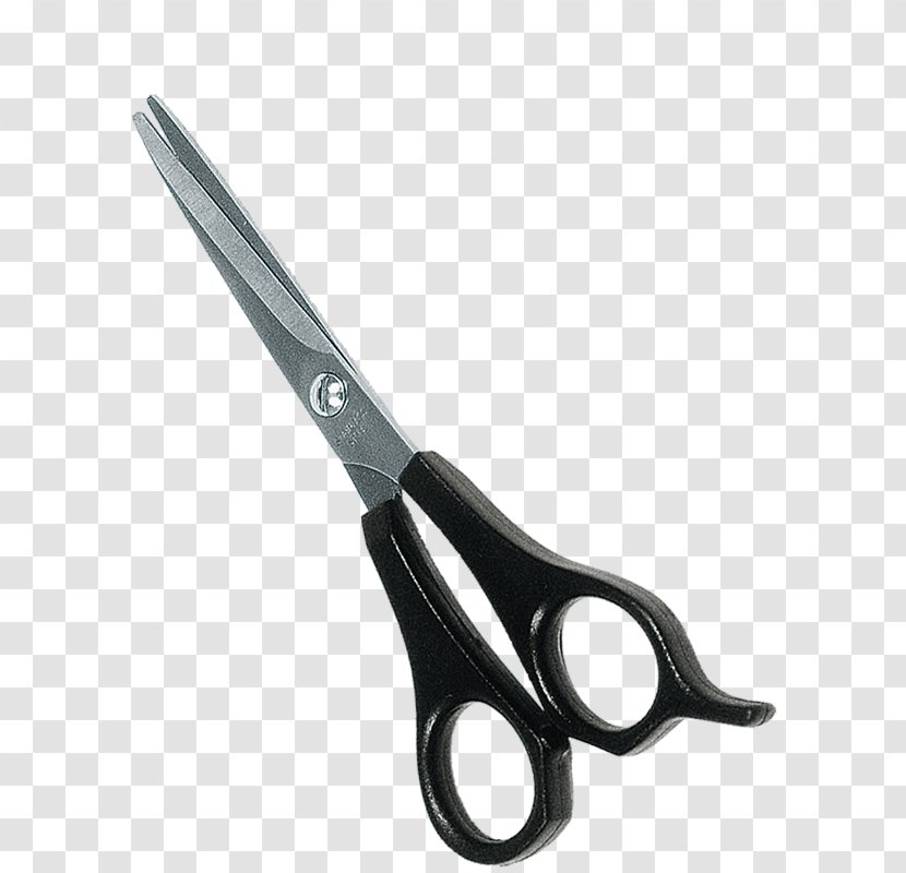 Cat Dog Personal Grooming Scissors Flea Transparent PNG