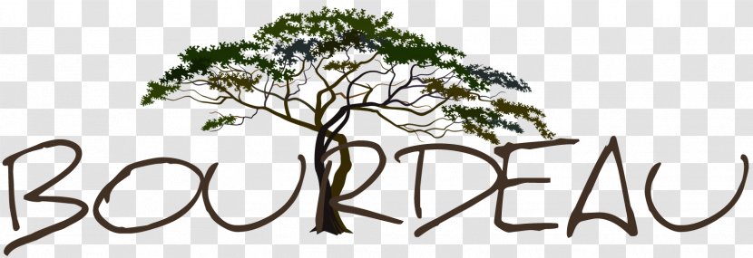 Twig Savannah Tree Foundation Clip Art - Leaf - Environnement Fond Transparent Transparent PNG