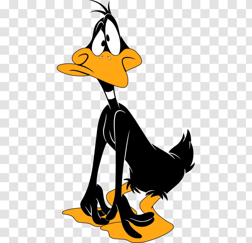 Daffy Duck Cartoon Bugs Bunny Desktop Wallpaper - Livestock - Joke Transparent PNG