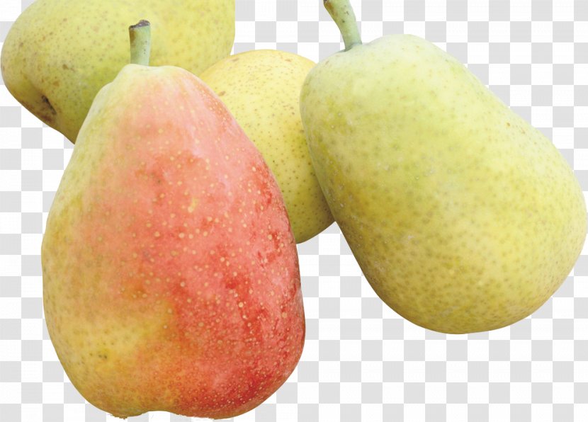 Pyrus Nivalis Xd7 Bretschneideri Amygdaloideae Fruit - Pear Transparent PNG