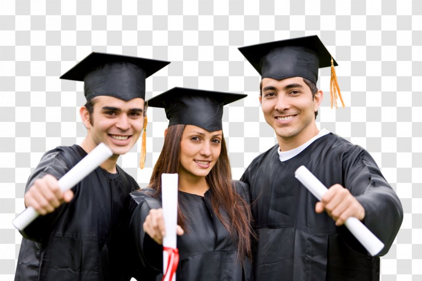 Academic Degree Student Master's Diploma University - Business School - Scholarship Transparent PNG