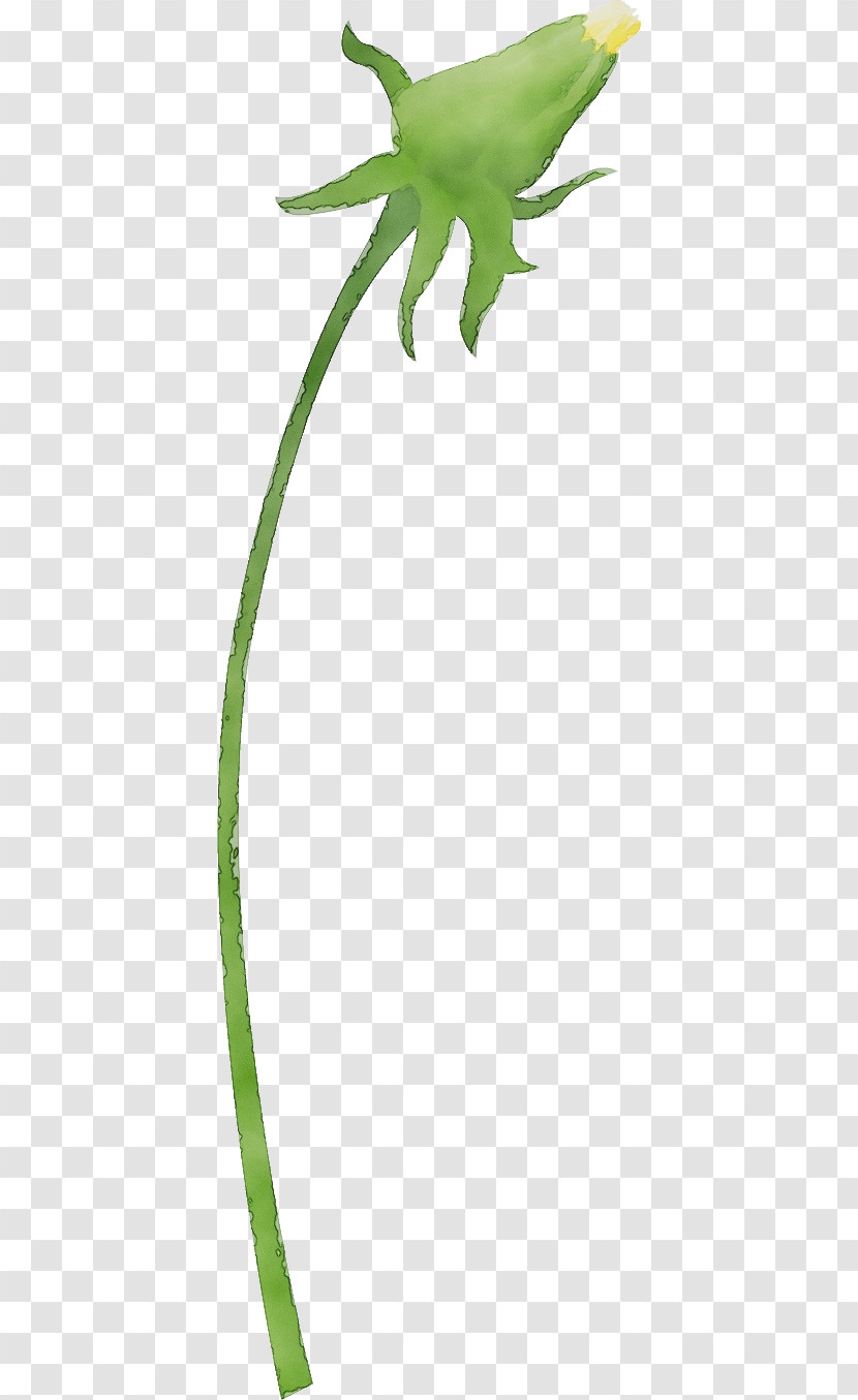 Twig Plant Stem Leaf Grasses Character Transparent PNG