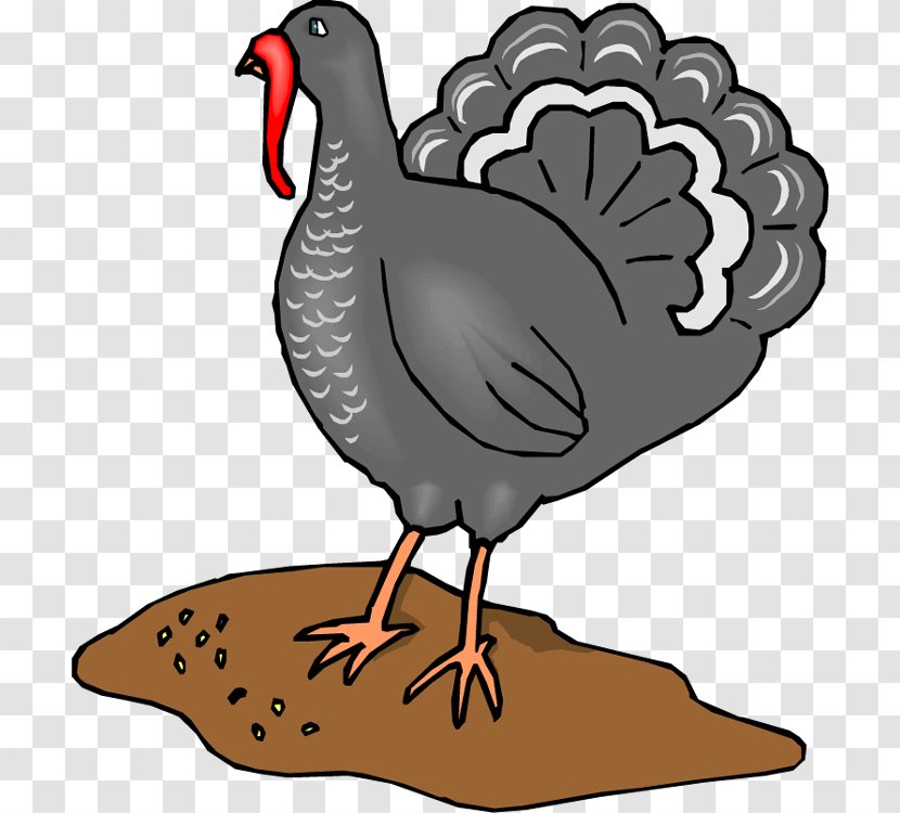 Turkey Chicken Clip Art - Cartoon Transparent PNG