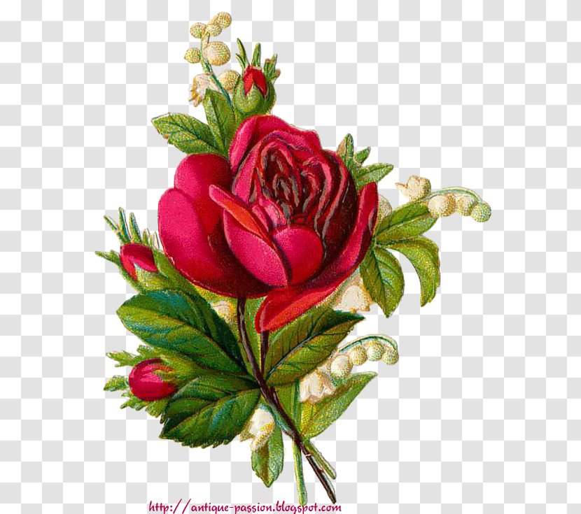 Birthday Holiday Animation - Garden Roses - Passion Transparent PNG