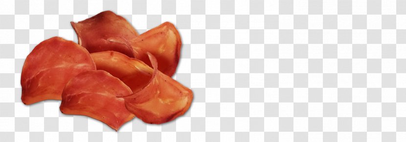 Tyrolean Speck Ham Handl Tyrol Domestic Pig - Petal Transparent PNG