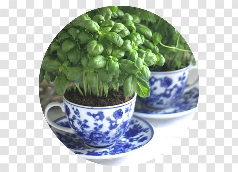 Apartment Garden House Herb Plants - Plant Transparent PNG