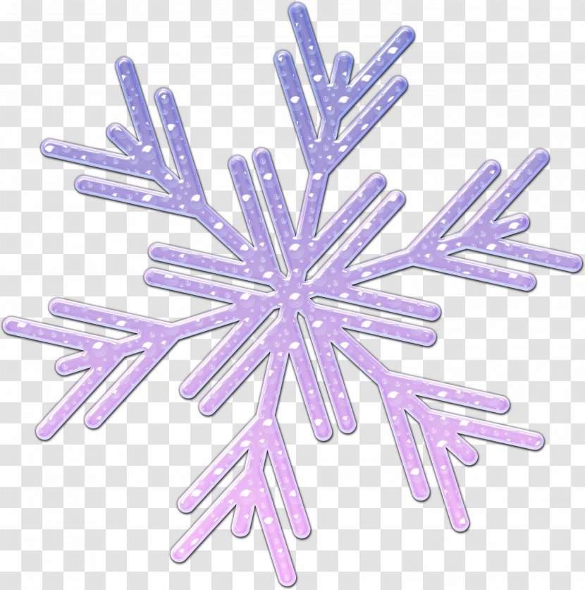 Lavender Lilac Violet Purple - Snowflakes Transparent PNG