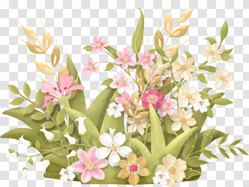 Floral Design Flower Clip Art Drawing Image - Siam Tulip Transparent PNG
