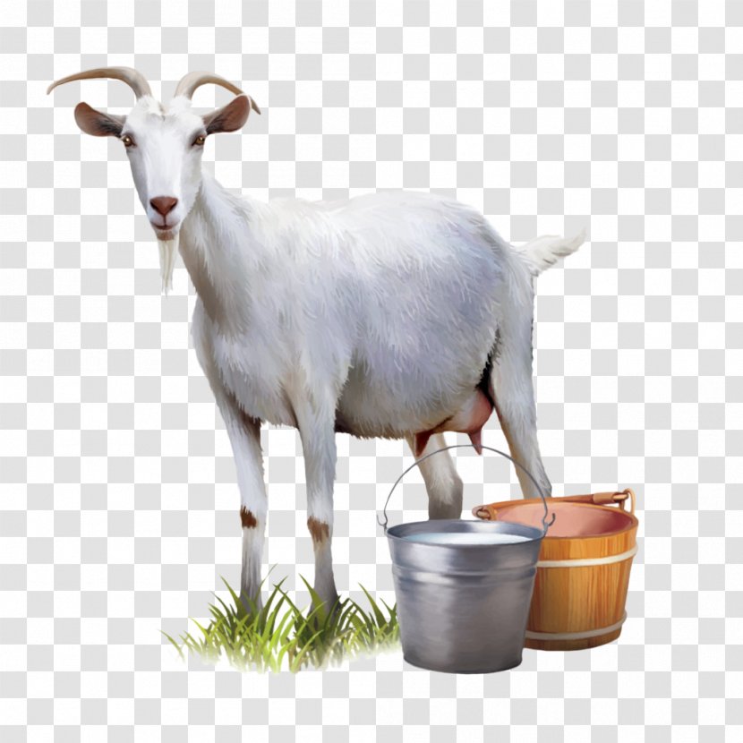 Goat Milk Cattle Sheep - Horn Transparent PNG