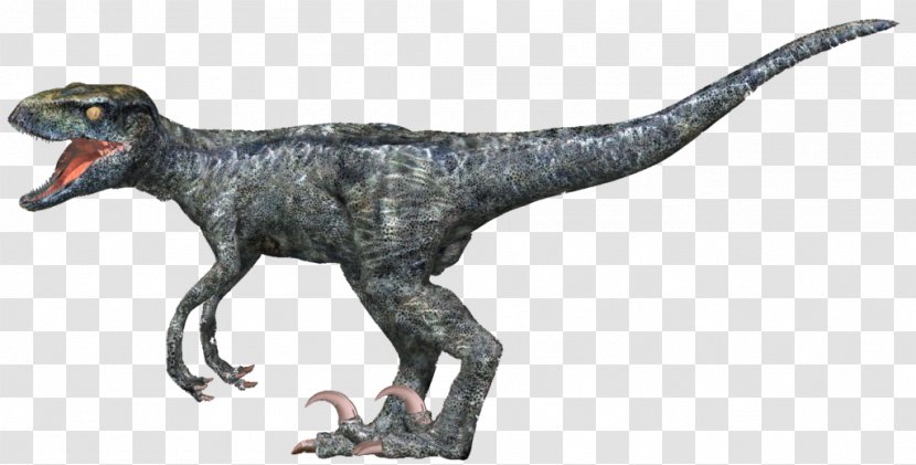 Tyrannosaurus Velociraptor Animal - Jurassic World 2 Transparent PNG
