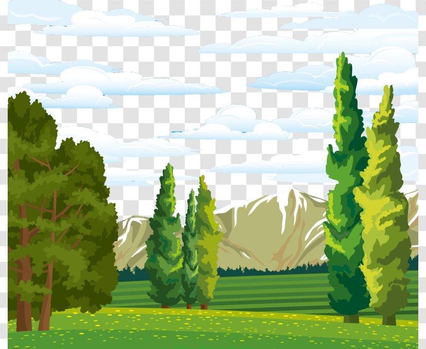 Landscape Forest Euclidean Vector Tree - Architecture - Valley Jungle Material Transparent PNG