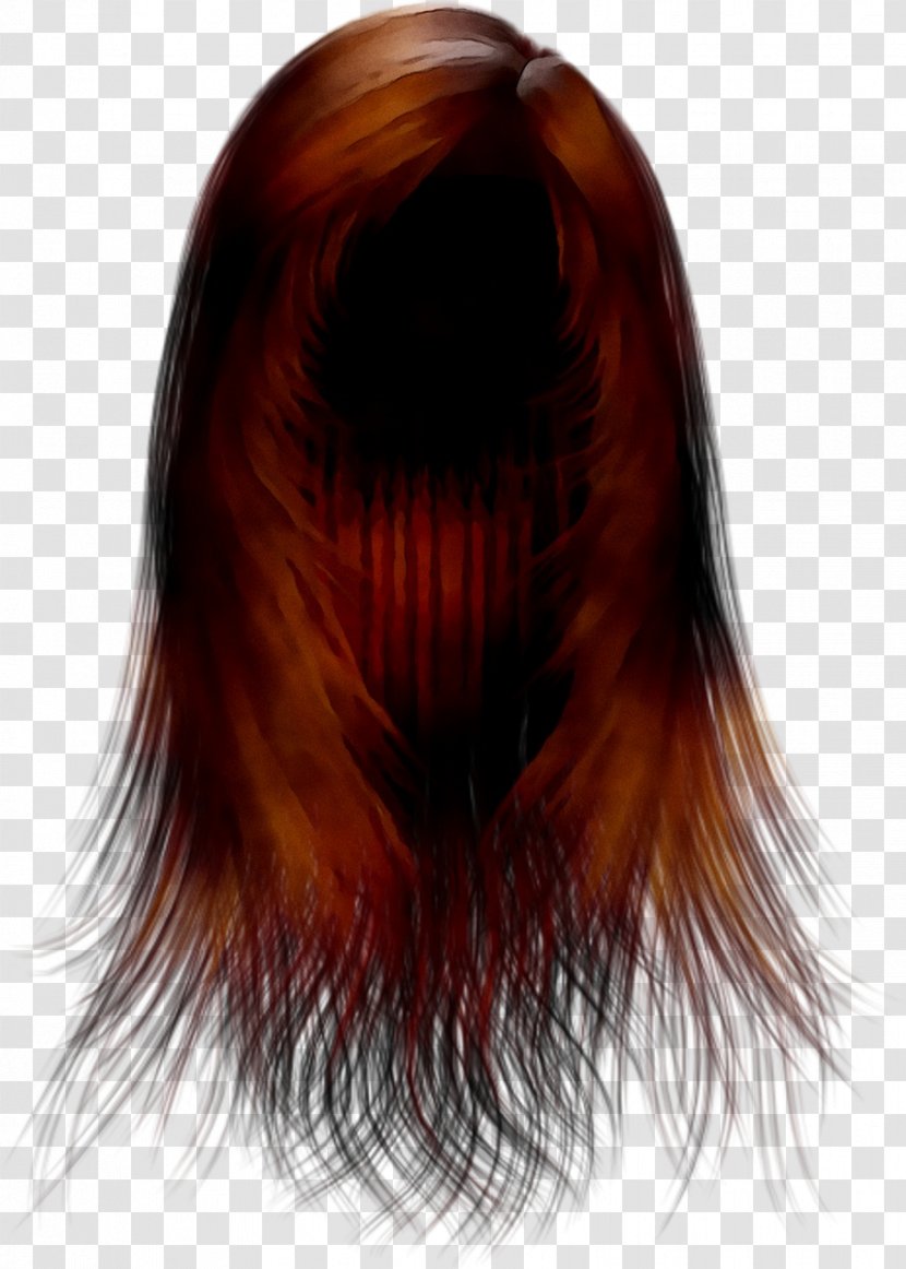 Long Hair Coloring Brown - Hairstyle - Black Transparent PNG