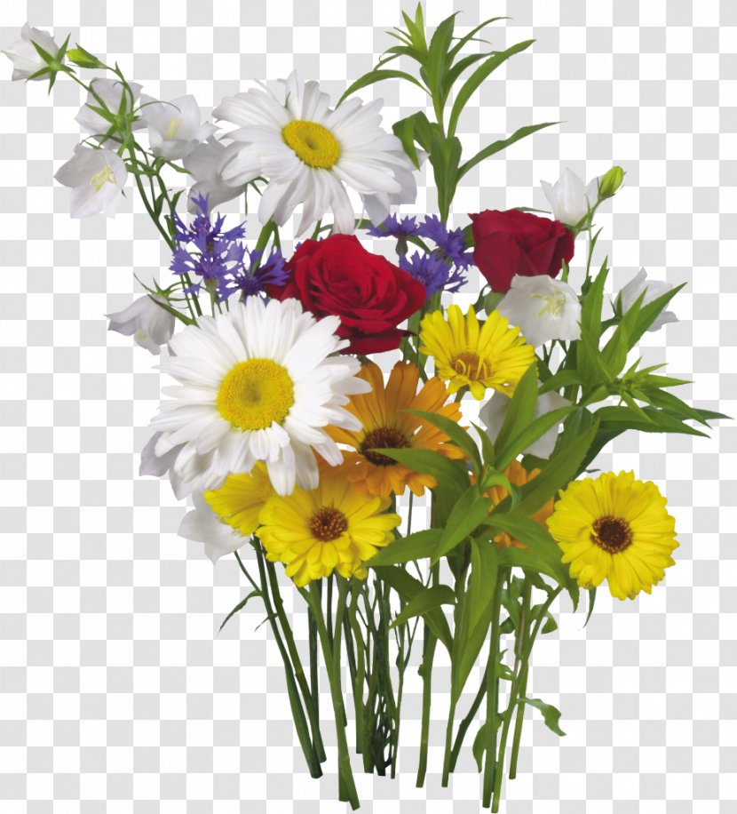 Flower Of The Fields Bouquet Composition Florale Florist - Gift - Camomile Transparent PNG