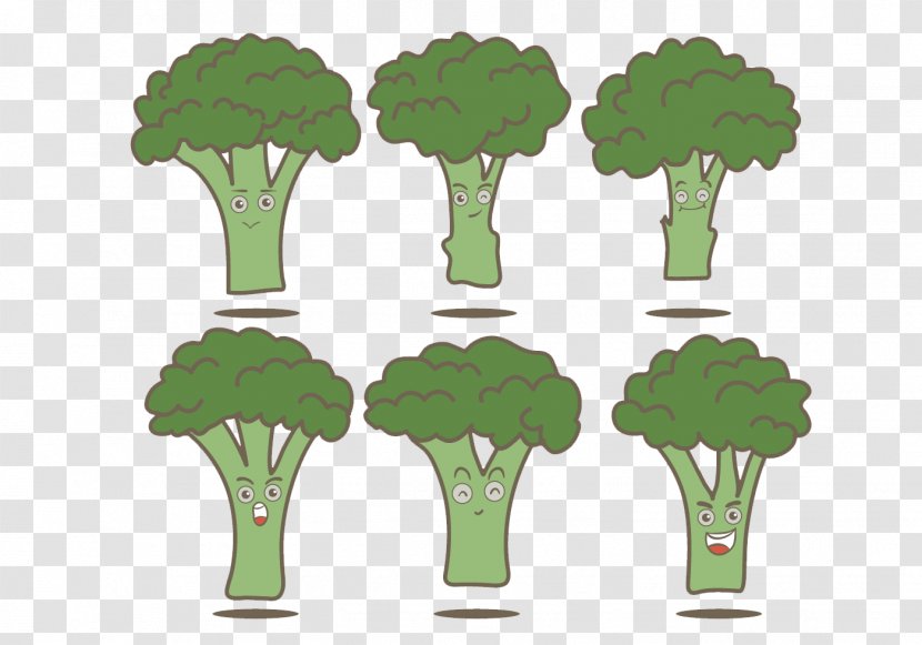 Euclidean Vector Broccoli Illustration - Food - Green Transparent PNG