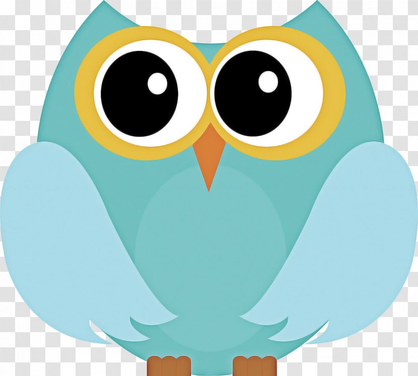 Owl Cartoon - Bird - Teal Transparent PNG