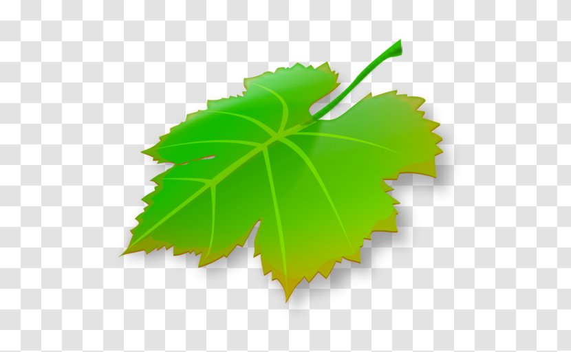 Gomo Mac App Store MacOS Apple - Grape Leaves Transparent PNG