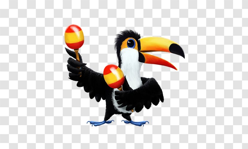 Bird Parrot Toucan Cartoon - Creative Transparent PNG