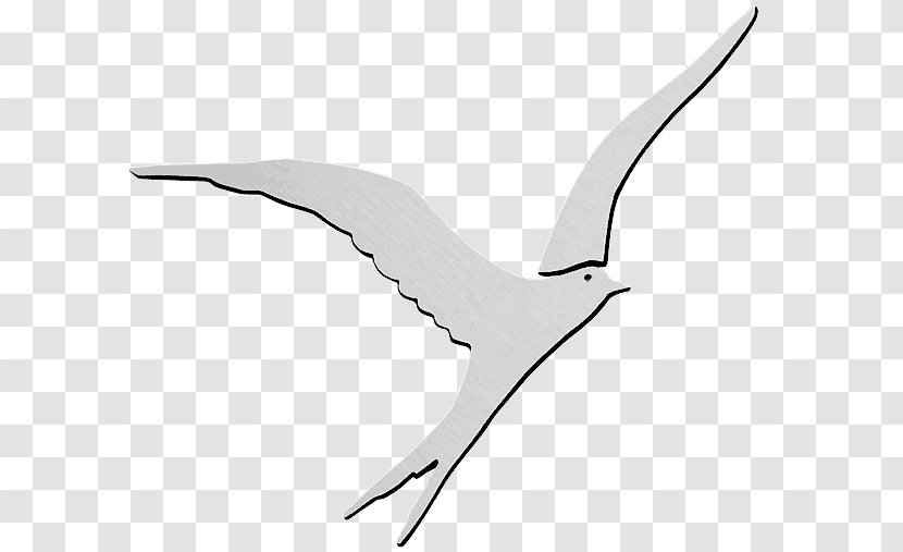 European Herring Gull Gulls Cygnini Goose Duck - Bird Transparent PNG