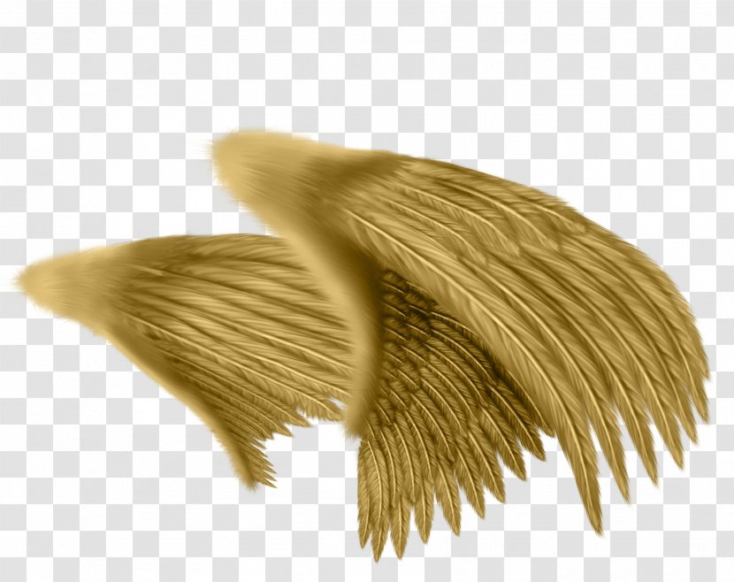 Drawing Angel Feather Photography - Wing - Wings Pattern Material Transparent PNG