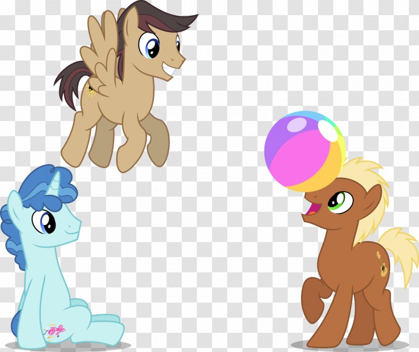 Pony Horse Foal Cat - Fcrystal Transparent PNG