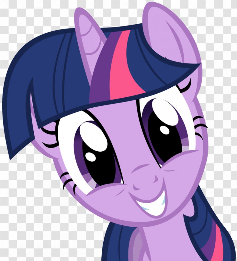 Twilight Sparkle Pinkie Pie Spike Princess Cadance Pony - Horse Like Mammal - My Little Transparent PNG