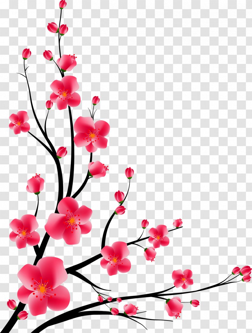 Download Adobe Illustrator - Photography - Peach Corner Decoration Transparent PNG