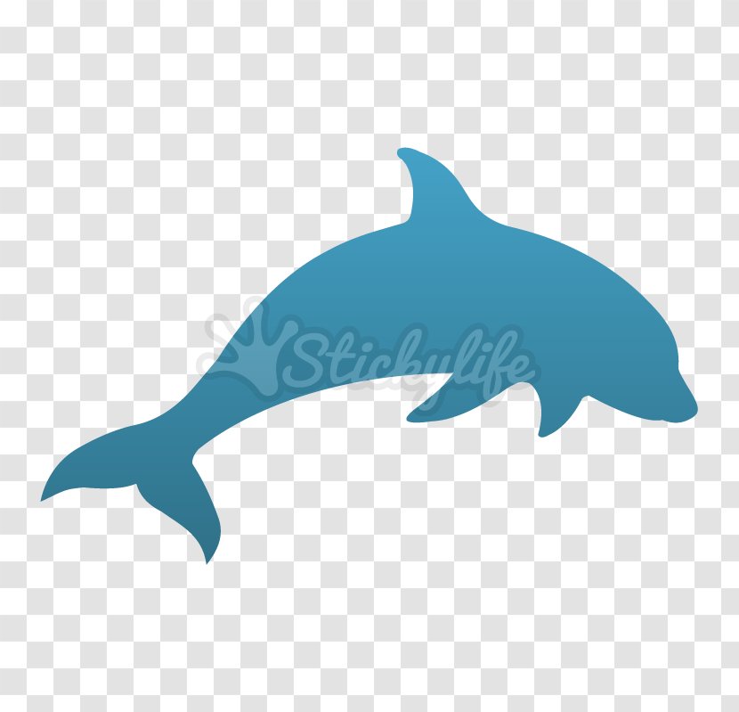 Common Bottlenose Dolphin Tucuxi Rough-toothed Marine Biology Transparent PNG