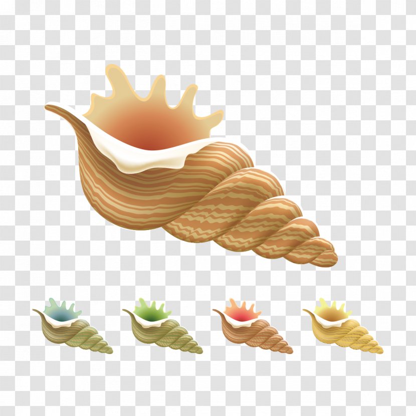 Conch Seashell Clip Art - Food - Pattern Transparent PNG