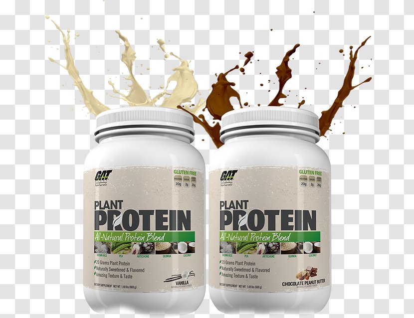 Dietary Supplement Whey Protein Bodybuilding - Bottle Plant Transparent PNG