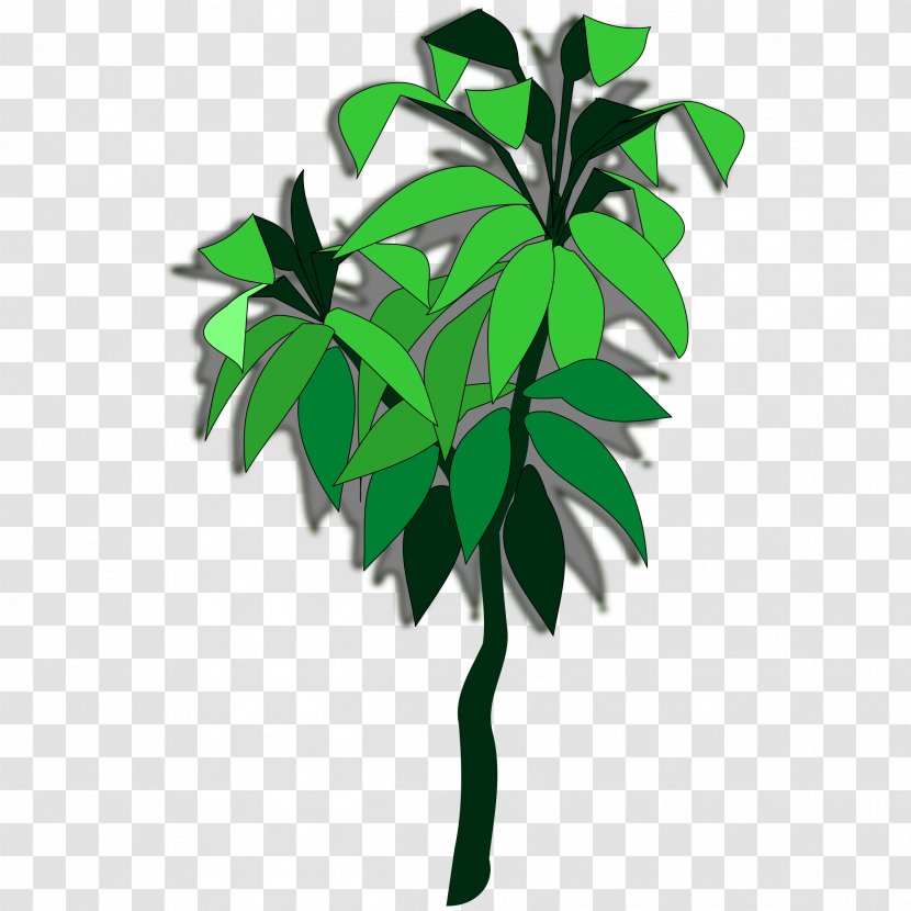 Tree Branch Flowerpot Houseplant Leaf - Plant Stem - Cassava Transparent PNG