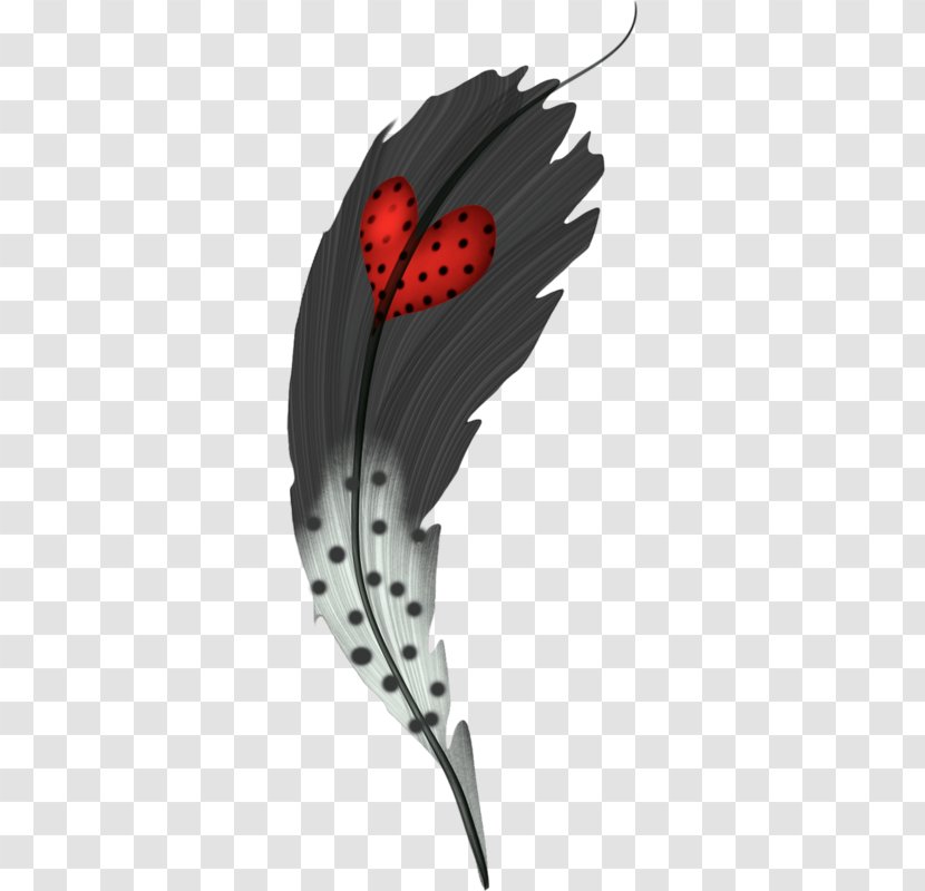 Red Feathers White Feather & Clip Art Transparent PNG