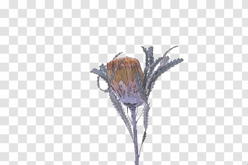 Flower Twig Plant Branch Tree - Cut Flowers Tulip Transparent PNG