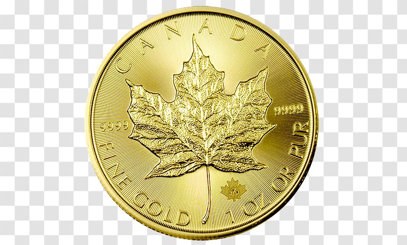 Canadian Gold Maple Leaf Coin - Loonie - Coins Transparent PNG
