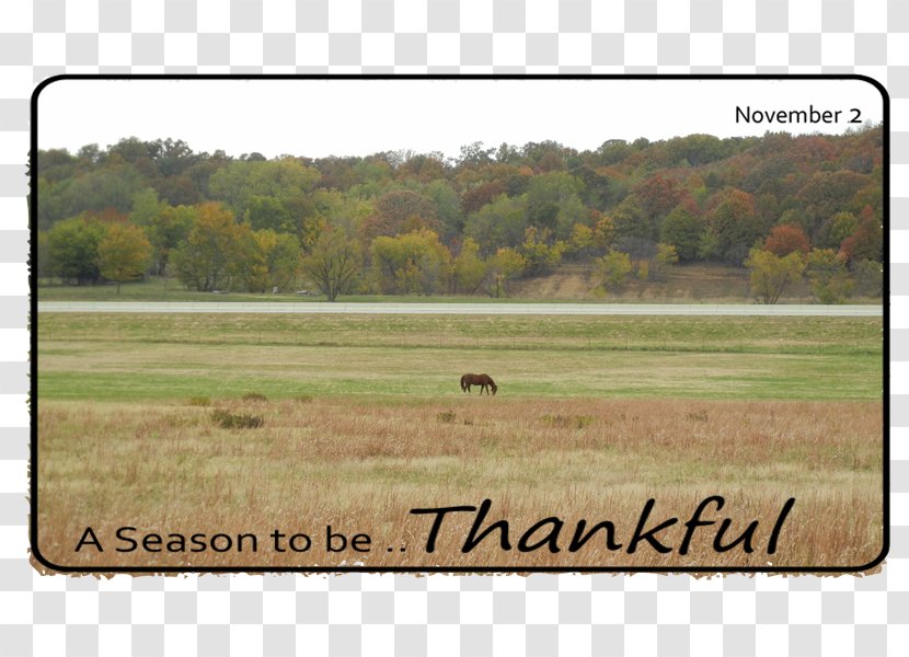 Ecoregion Landscape Farm Pasture - Thankful Transparent PNG