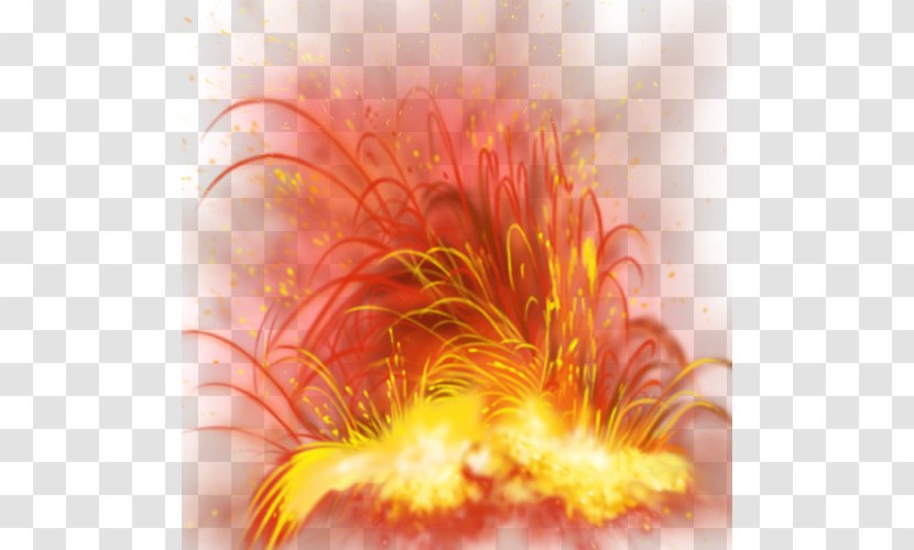 Fire Flame Explosion Heat - Flower Transparent PNG
