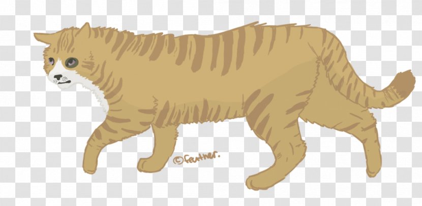 Cat Wildlife Feather Tail Terrestrial Animal - Mammal Transparent PNG