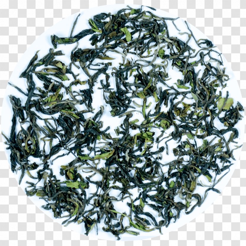 Nilgiri Tea Darjeeling Assam White - Lapsang Souchong - Oolong Transparent PNG