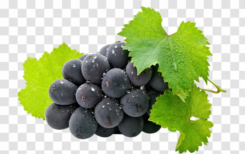 Common Grape Vine Fruit Juice Grappa - Fragrance Transparent PNG