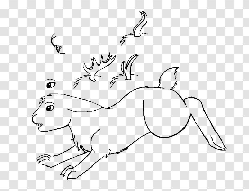 Rabbit Hare Whiskers Line Art Sketch - Heart Transparent PNG